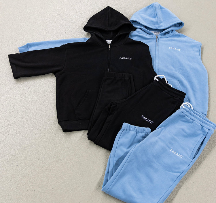 <h2>Warum Parasit ?</h2>